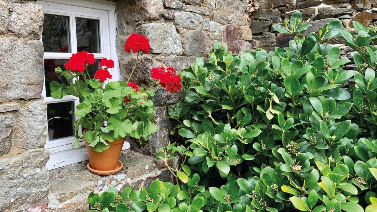 Manoir De La Begaudiere Mont-Dol Exteriér fotografie